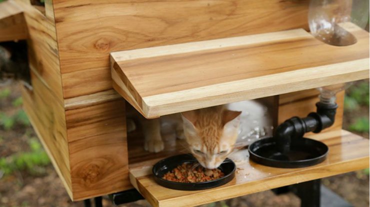 Ξύλινα καταφύγια για αδέσποτα στο Εκουαδόρ