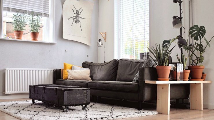 Warm tones, fancy colors