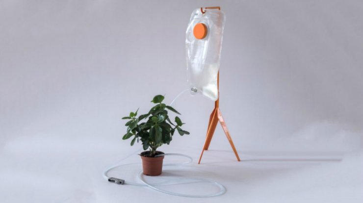 Ένα ανατρεπτικό design ποτίσματος για τα φυτά του σπιτιού μας