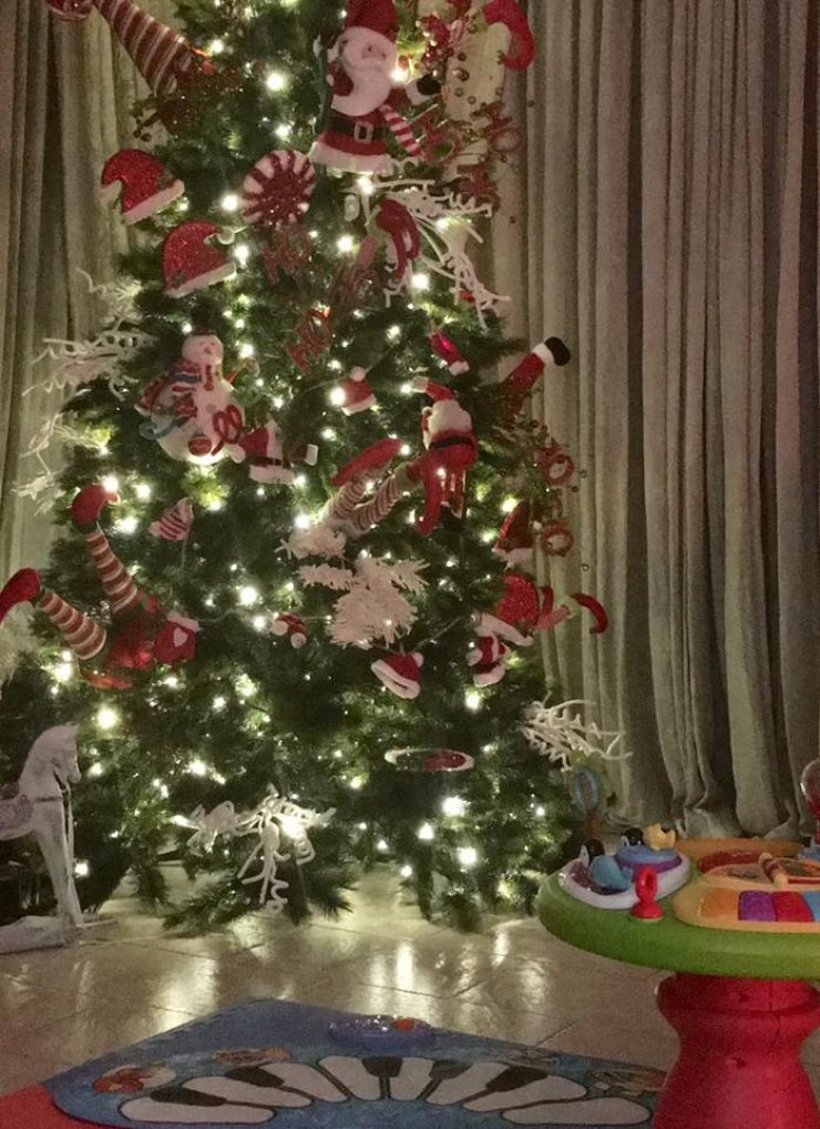 Το υπέροχο χριστουγεννιάτικο δέντρο Κύπριας παρουσιάστριας!