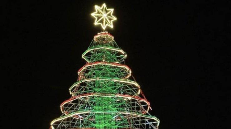 Φωταγωγήθηκε το υψηλότερο δέντρο του νησιού [εικόνες & βίντεο]