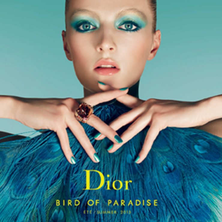 Bird of Paradise / Καλοκαίρι 2013