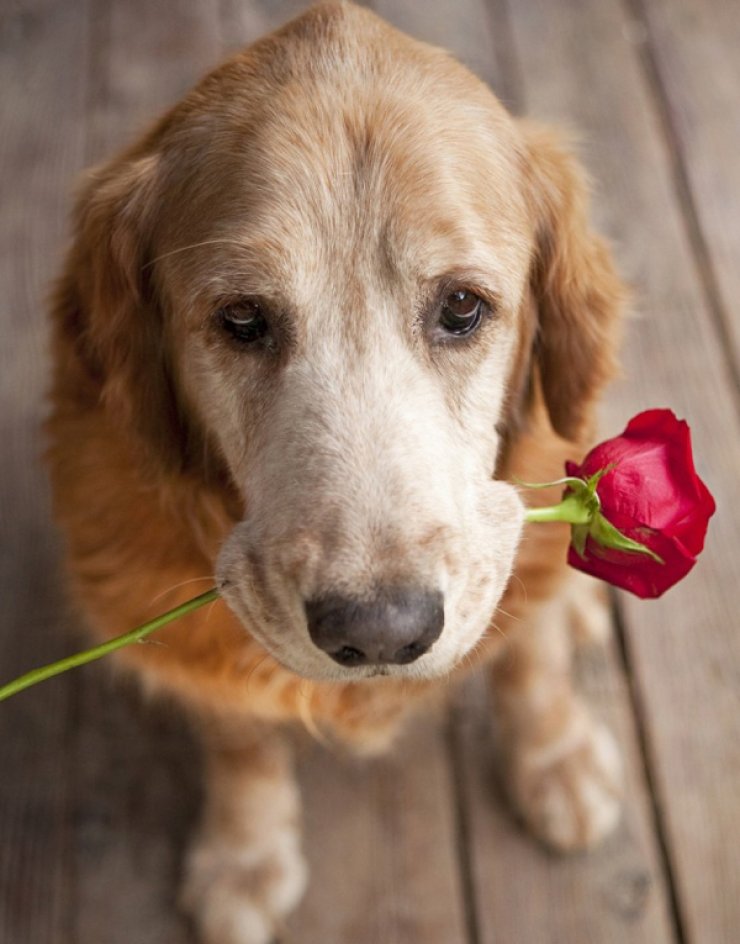 Πού βρίσκεται τελικά η ευτυχία;