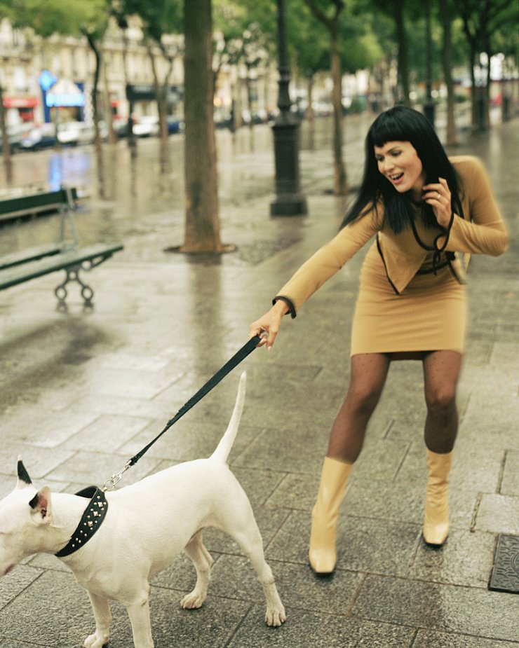 Πες μου τον σκύλο σου, να σου πω ποια είσαι