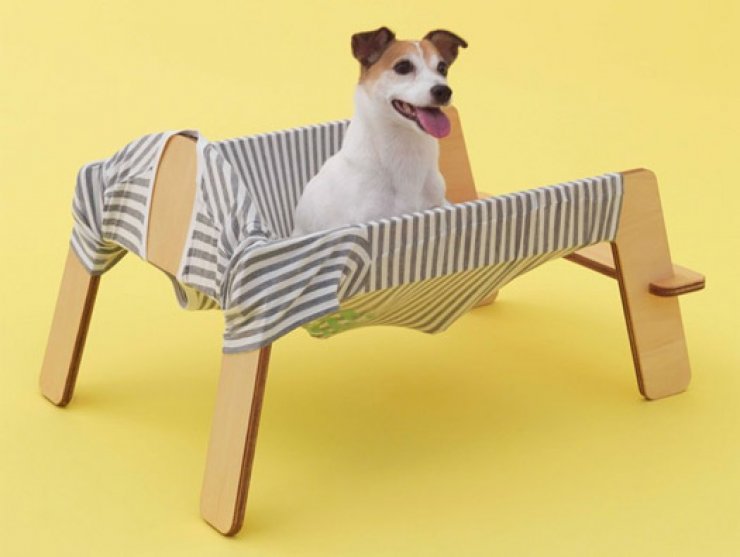 Σκυλί στην ξαπλώστρα!