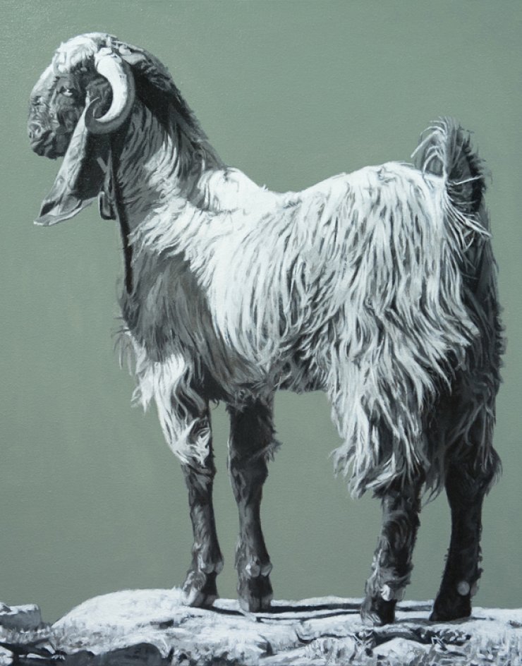 Μια "Γυάλινη Μάντρα"