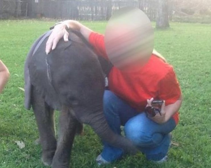 Ελληνίδα σταρ αγκαλιά με το πιο μικρό ελεφαντάκι στον κόσμο!