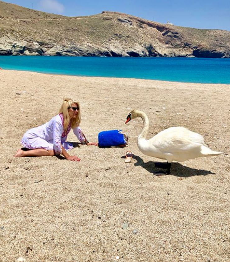 Ακομπλεξάριστη και μας αρέσει! Η Ελένη Μενεγάκη έχει κυτταρίτιδα και ούτε που τη νοιάζει! [εικόνες]