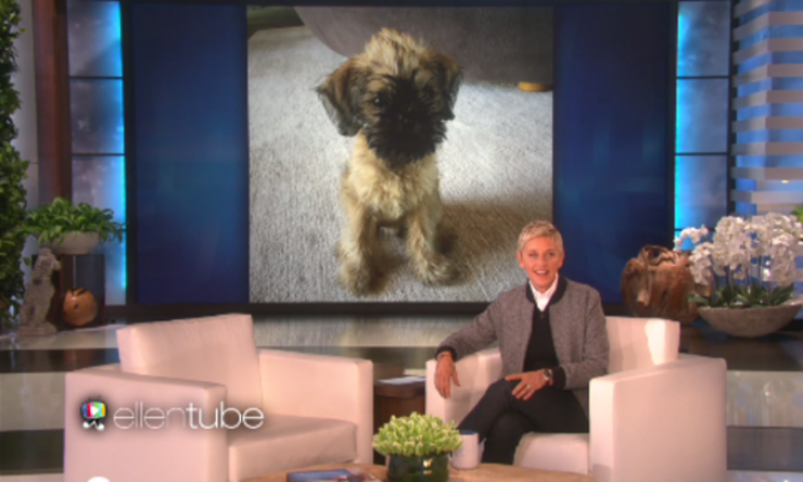 Ellen DeGeneres: Απέκτησε το πρώτο της παιδί με τη σύζυγό της [εικόνα]