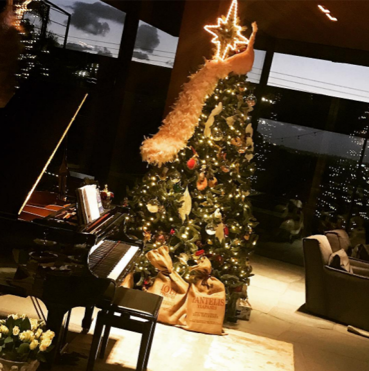 Αυτό είναι το εντυπωσιακό δέντρο επώνυμης Κύπριας!