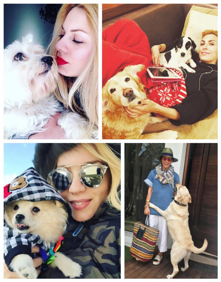 Επώνυμοι Κύπριοι με τα σκυλάκια τους!