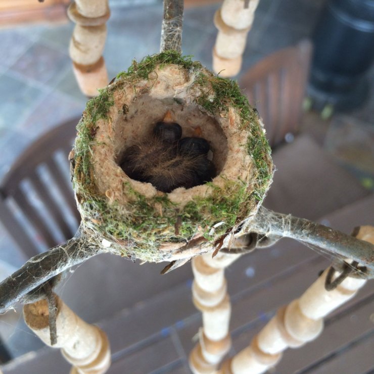 Δείτε τι απίστευτο φωτογράφησε η Eva Longoria [εικόνες]