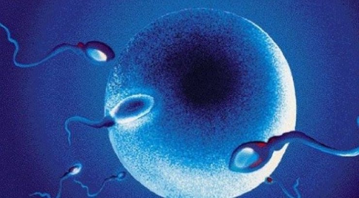 Νέα μέθοδος για το «ορμονικό ξύπνημα» στην εξωσωματική