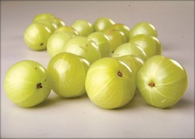 Τι είναι το Amla;