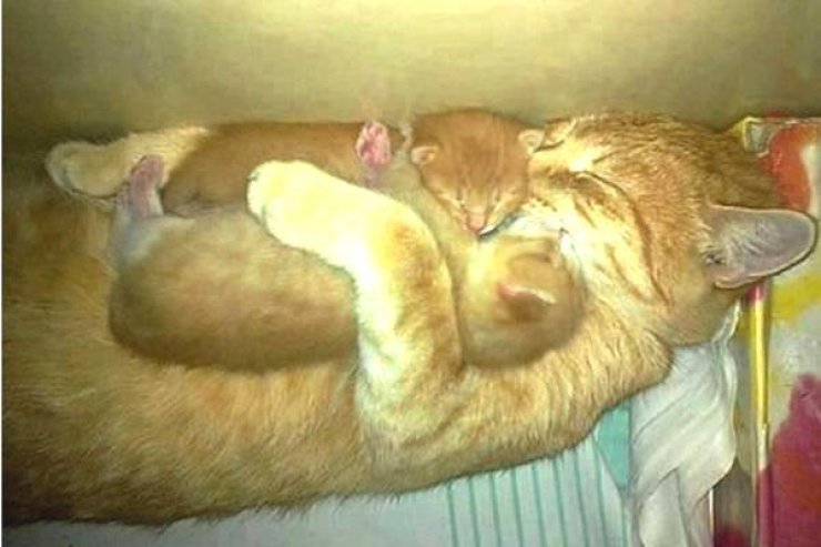 Mια υπέροχη φωτογραφία