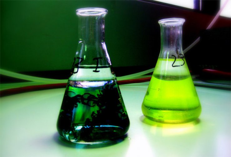 Πρώτος θάνατος στις ελεύθερες περιοχές απο ιό γρίπης χοίρων