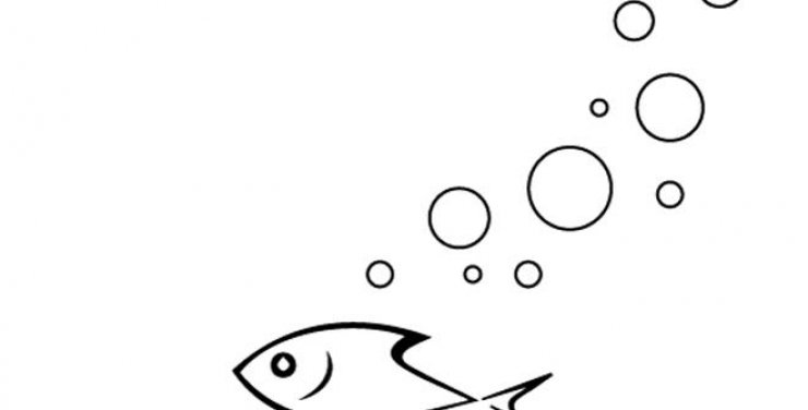 Απόψε "Βρες το Νέμο σου" στο Beach 