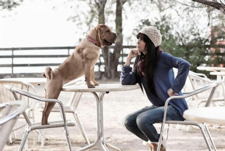 Ελένη Φουρέιρα: Ονόμασε το σκύλο της Μαϊμού