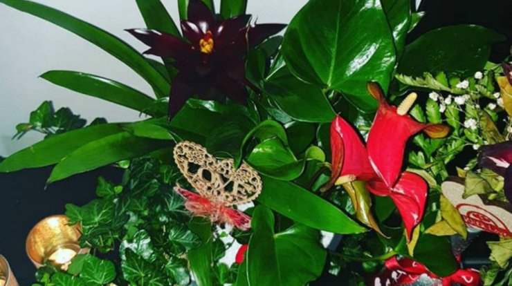 Τα υπέροχα λουλούδια που χάρισε επώνυμος Κύπριος στον σύντροφό του για την επέτειό τους!