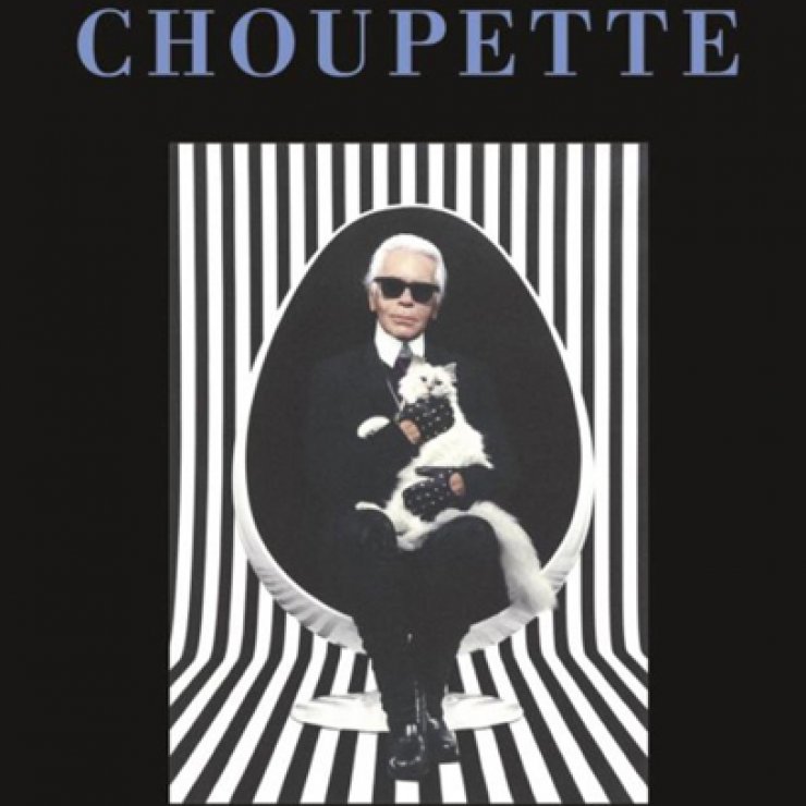 H fashion-celebrity γάτα του Karl Lagerfeld γίνεται βιβλίο