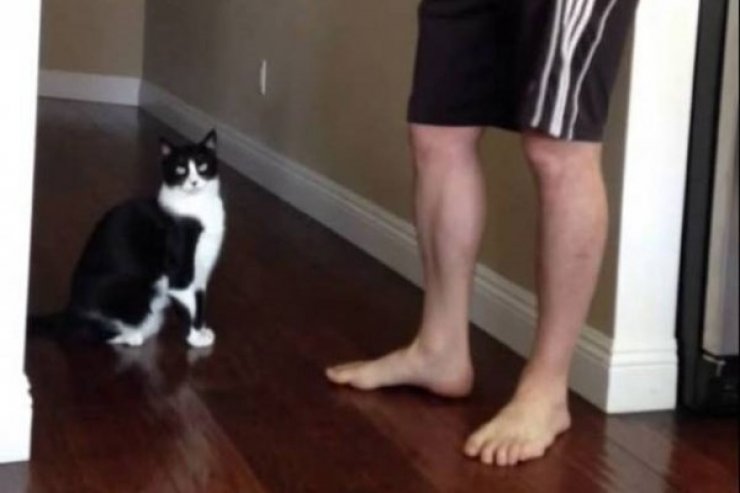 Η καλύτερη αγκαλιά που έγινε ποτέ από γάτα! [βίντεο]