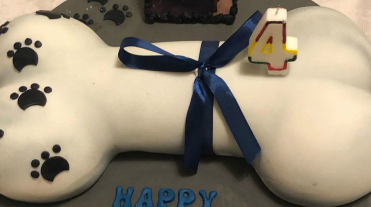 Κύπριος επιχειρηματίας έκανε party γενεθλίων στον σκύλο του που έκλεισε 4 χρονών