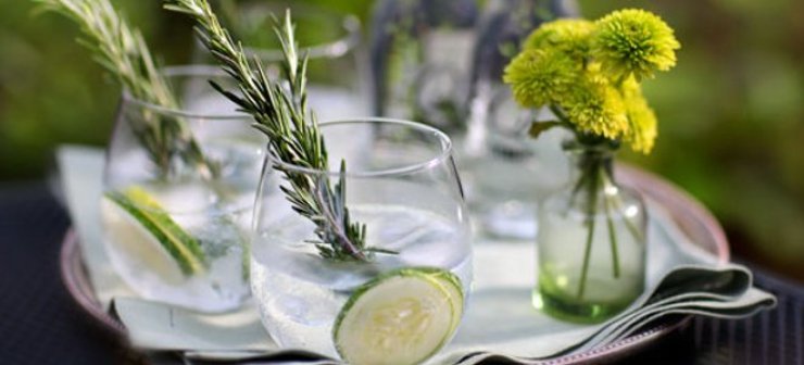 Ποιος είναι ο θανατηφόρος μύκητας που απειλεί την παραγωγή του τζιν