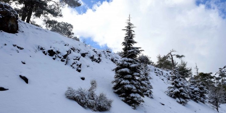 Δείτε τους κλειστούς δρόμους στο Τρόοδος