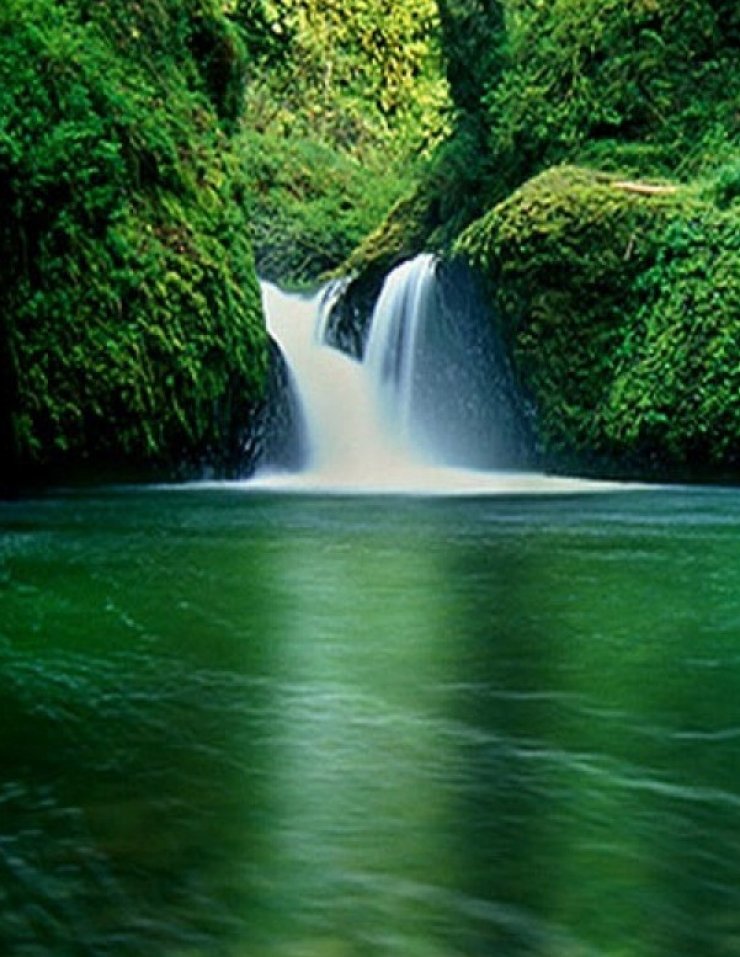 Το πράσινο μας κάνει ευτυχισμένους