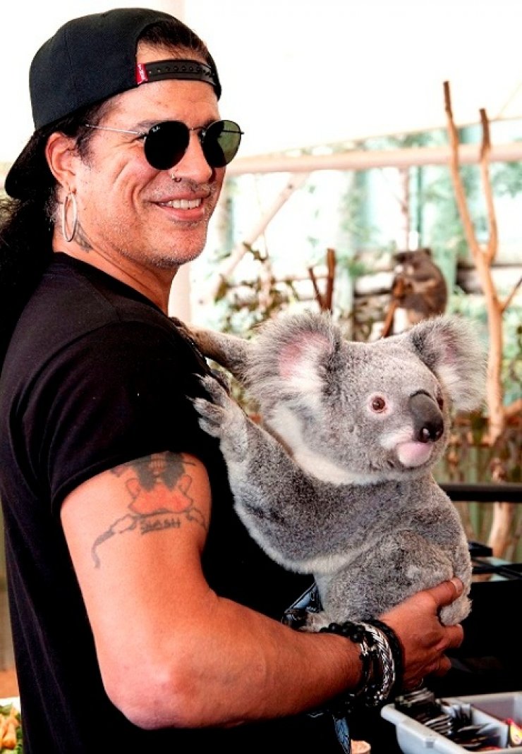 Slash και κοάλα