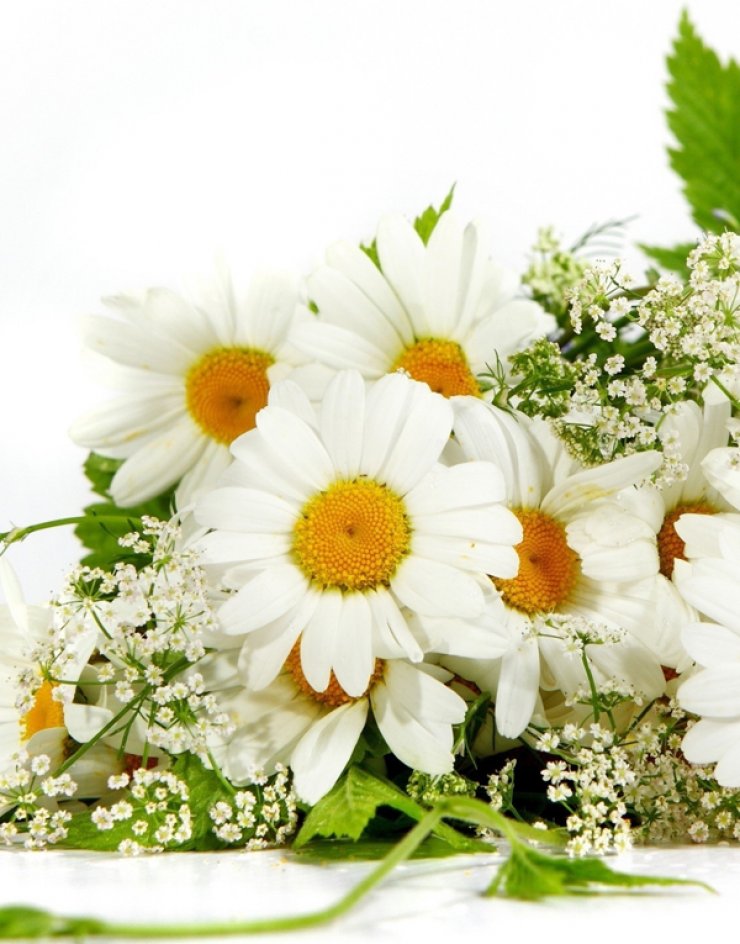 Μάσκα προσώπου με χαμομήλι για λαμπερή επιδερμίδα!