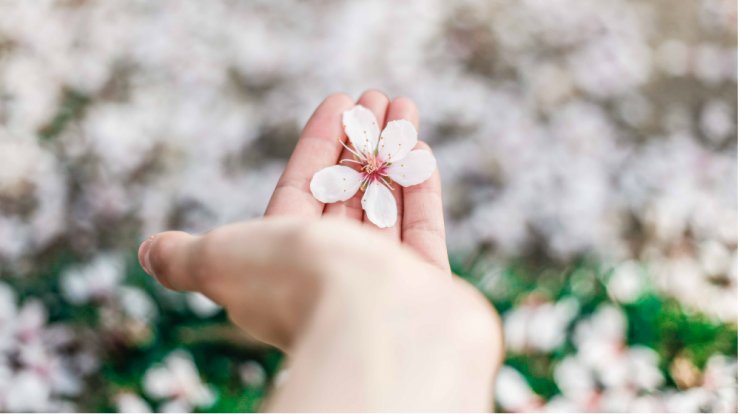 Τέσσερις κρέμες χεριών που θα σώσουν τα χέρια σου από την αφυδάτωση του αντισηπτικού