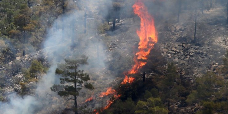 Χειροπέδες σε 25χρονο για φωτιά στον δρόμο Χανδριών 