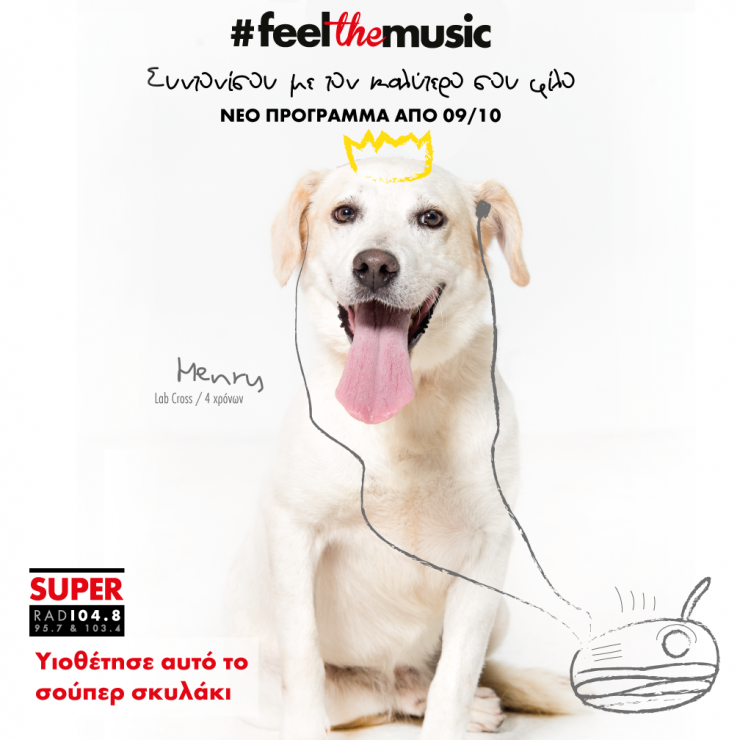 Υιοθέτησε ένα σούπερ σκυλάκι τώρα!