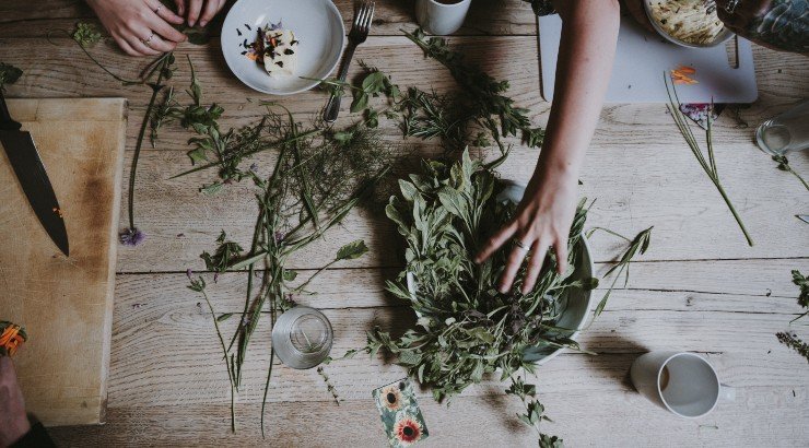 Όλα όσα θέλεις να γνωρίζεις για τα βότανα του χειμώνα [βίντεο]