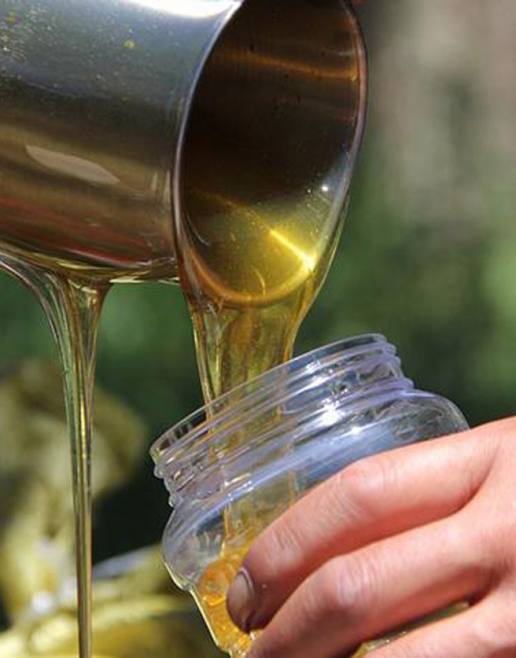 Ο Καλοπαναγιώτης ετοιμάζεται για το 1ο Φεστιβάλ Μελιού