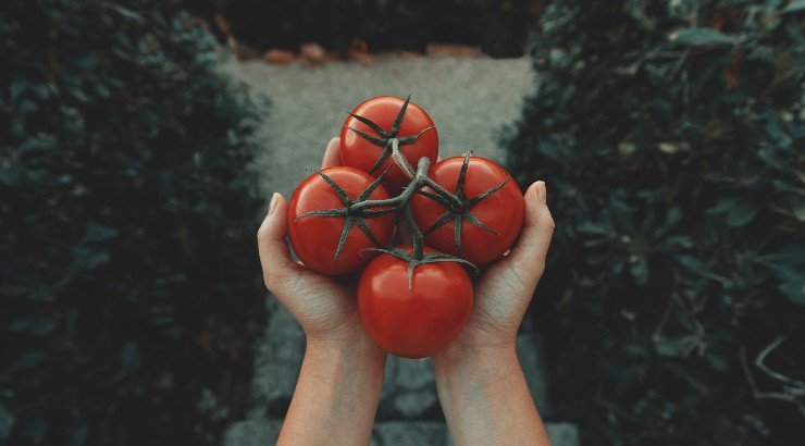 Top 10 αντιοξειδωτικές τροφές!