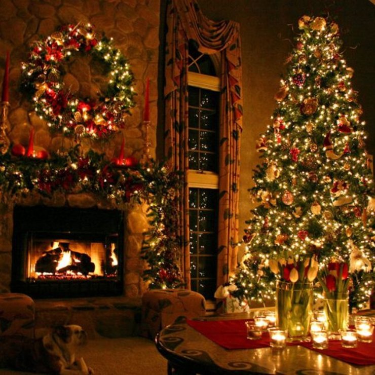 Τι δείχνει το χριστουγεννιάτικο σου δέντρο για τον χαρακτήρα σου;