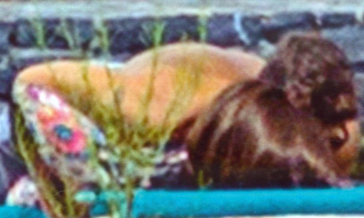 O ασυγκράτητος Άκης Πετρετζίκης