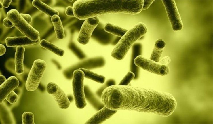 Όλα όσα πρέπει να γνωρίζουμε για τον ιό Έμπολα