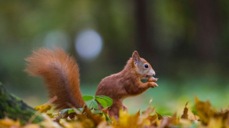 Τι προβλέπουν τα ζώδια για την Τετάρτη 20 Νοεμβρίου 2019;