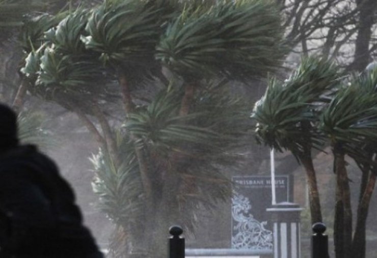 Οι ισχυροί άνεμοι εκρίζωσαν δέντρα - Επικίνδυνοι δρόμοι 