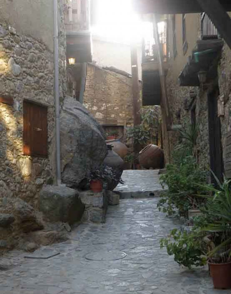 Παραδοσιακό καρναβάλι στην Κακοπετριά