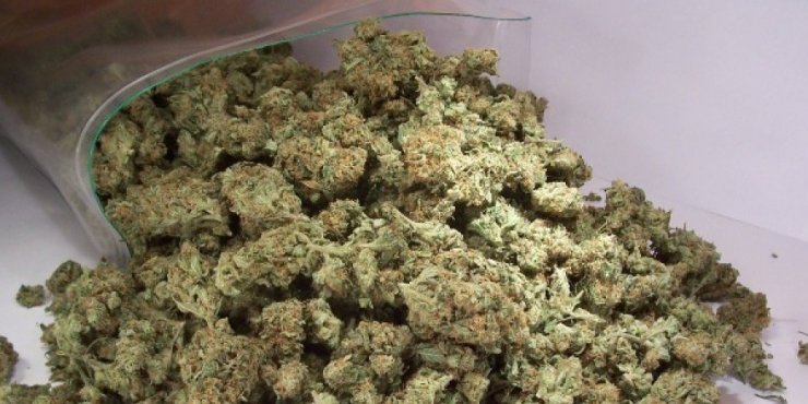 Νέα επιτυχία ΥΚΑΝ - Συλλήψεις και κατάσχεση 6 kg κάνναβης 