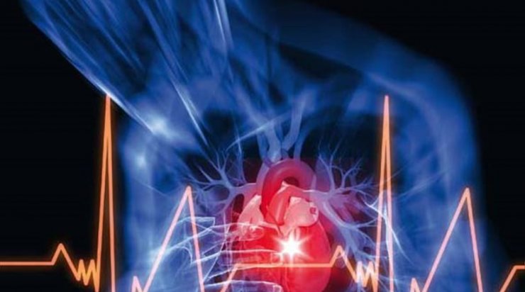 Έρχεται ο πρώτος βιολογικός βηματοδότης για την καρδιά