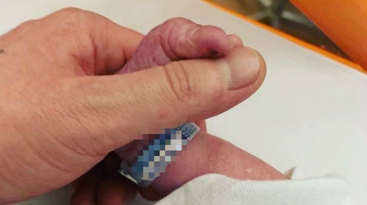 Baby boom στην ελληνική showbiz!