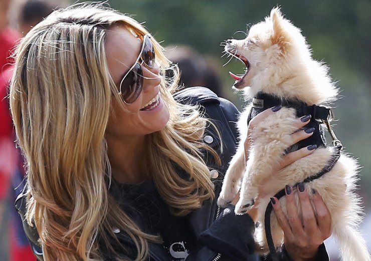 Δείτε το νέο φίλο της Heidi Klum!