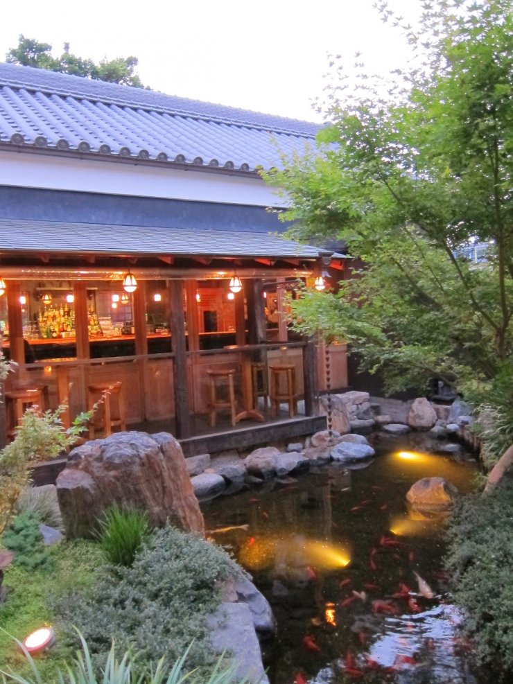 Exotic Koi!