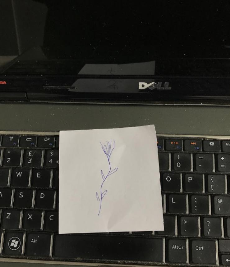 Η ρομαντική έκπληξη που έκανε σε επώνυμη Κύπρια ο σύντροφός της!