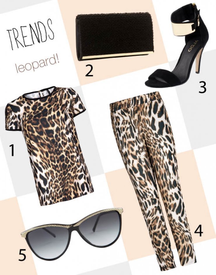 Leopard!